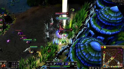 Nautilus Champion Spotlight