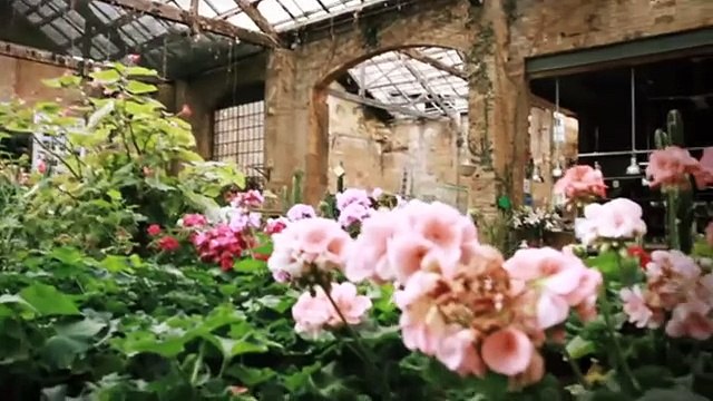 TV3 - 33 recomana - Festival Hivernacle. Diversos espais. Vilafranca del Penedès