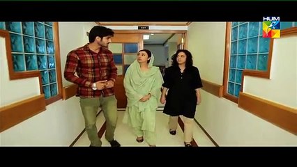 Mehram Episode 22 Full Drama on Hum Tv February 12, 2015