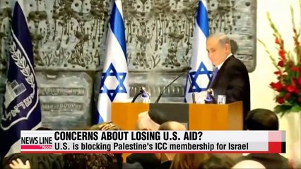 Palestine seeks justice through ICC membership: Palestinian FM