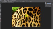 Photoshop Essentials - How to remove the spots using Spot Healing Brush Tool