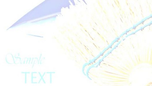 Search