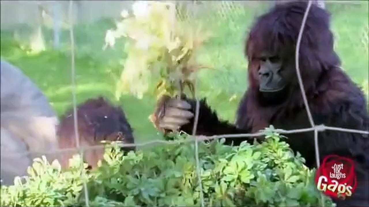 Just For Laugh Top 10 funny pranks