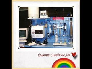 Ten Advantages of Glass Reactor