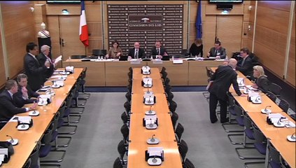 Audition de M. Jean-Charles Brisard, pdt du centre d'analyse du terrorisme - Jeudi 12 Février 2015