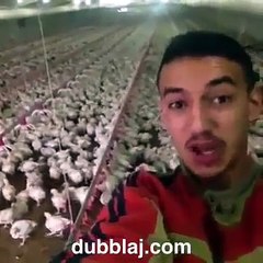 Dubblaj Türkiye.com & Tavukları Pişirmişem