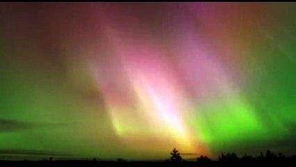 Sasa Kusevic - Pice po pice- Саша Кушевич - Питие след Питие