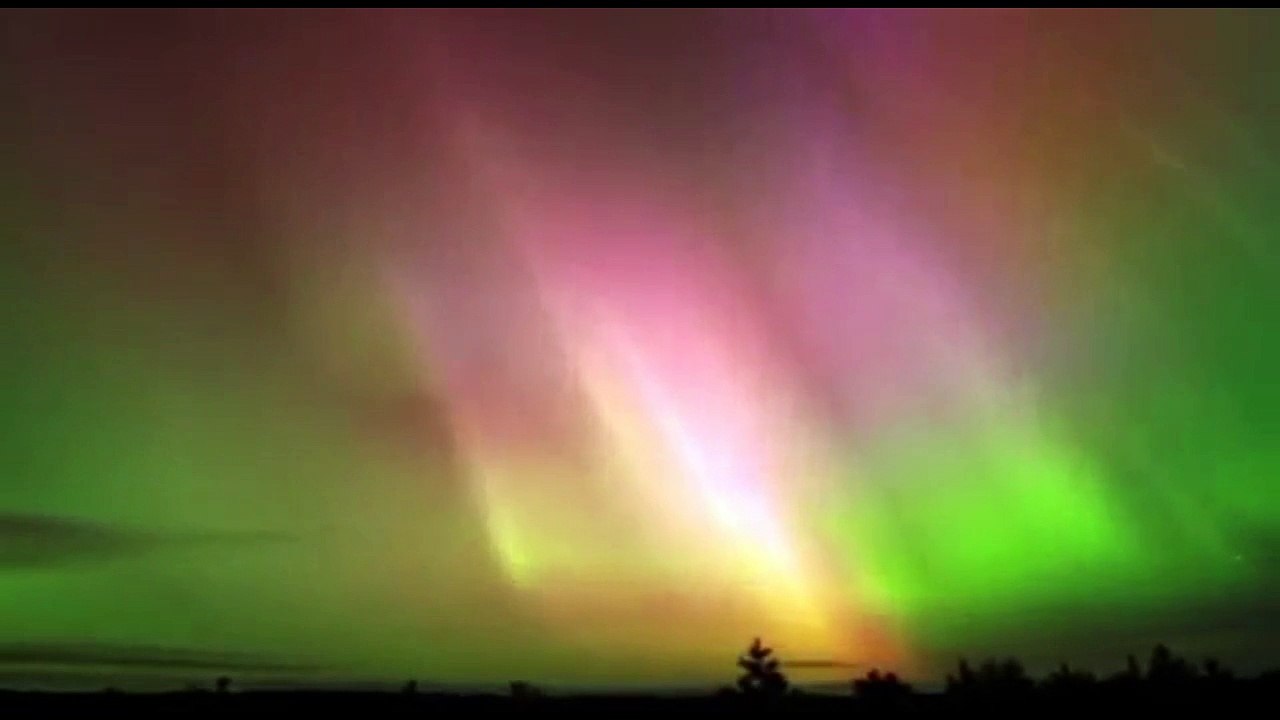 Sasa Kusevic - Pice po pice- Саша Кушевич - Питие след Питие