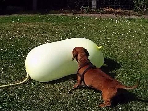 Funny Accident 2013 for FAIL Compilation 2013 [HD ] [18 ] ЛУЧШИЕ ПРИКОЛЫ 2013 FUNNY ACCIDENTS VIDEOS_2