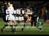 watch Chiefs vs Newcastle Falcons live stream online
