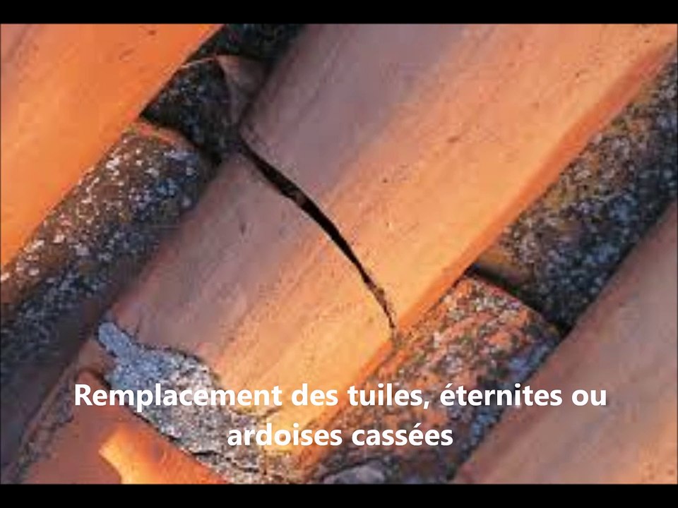 Démoussage et nettoyage de toitures