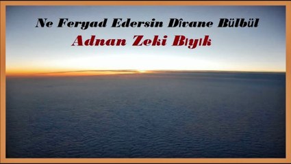 Ne Feryad Edersin Divane Bülbül-Adnan Zeki Bıyık