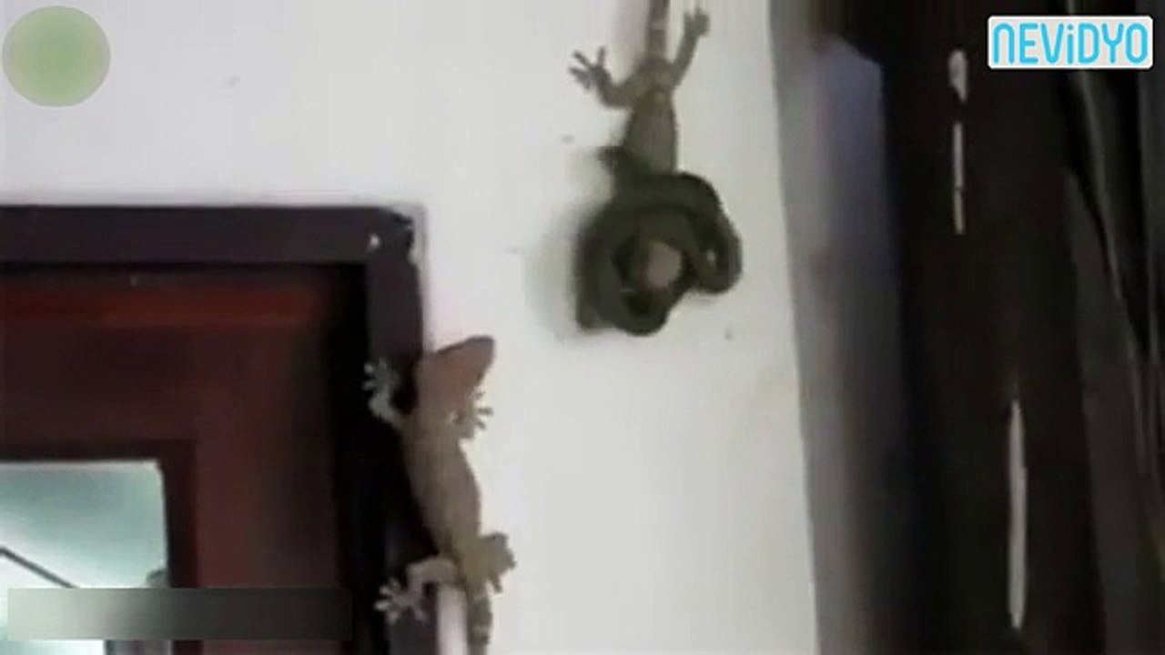 Eşini kurtarmak için nasılda mücadele etti