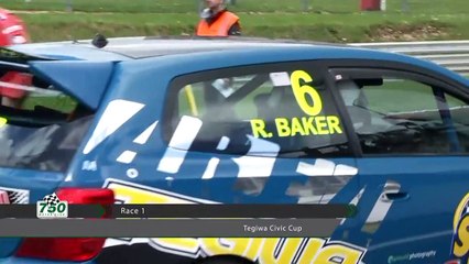 2014 Tegiwa Civic Cup Round 2 Race 1 Brands Hatch