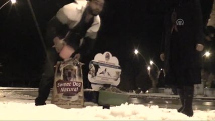 Sokak Hayvanları Aç Bırakılmıyor