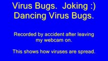 Virus Bugs. Joking Dancing Virus Bugs. Animation