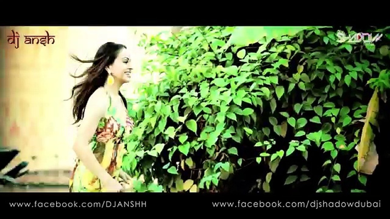 DJ Shadow Dubai & DJ Ansh valentine