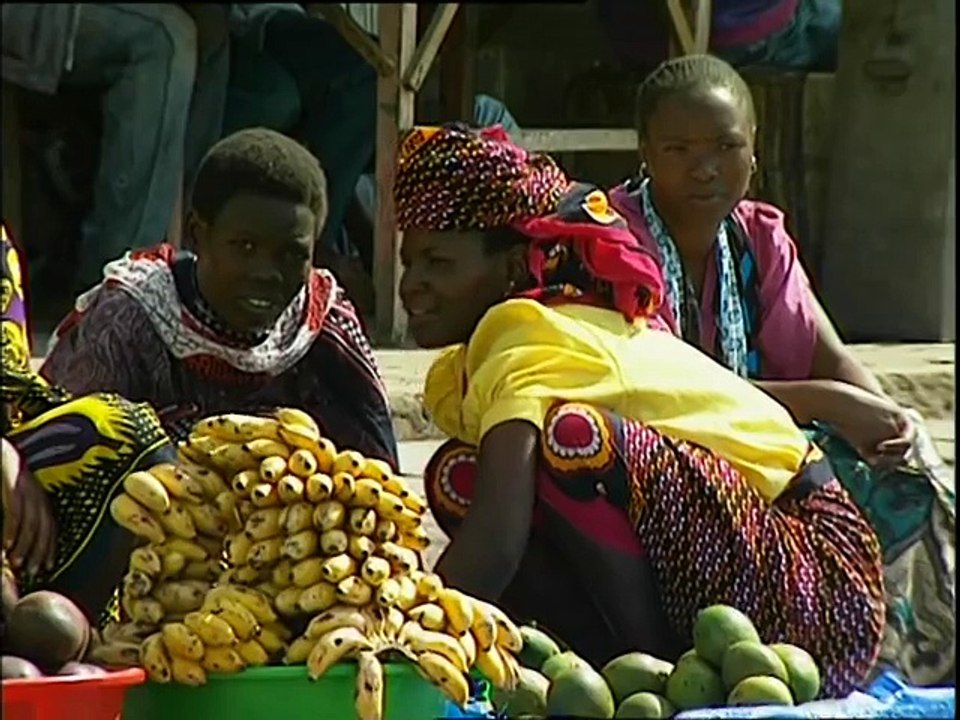 Tanzanie - Zanzibar, au pays du Kilimandjaro