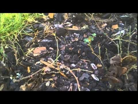 Aversa (CE) - Piazza Crispi: dov'è la videosorveglianza? (12.02.15)