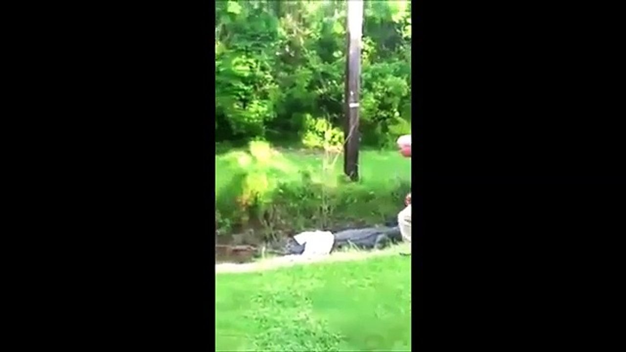 Un papy à 2 doigts de se faire bouffer par un crocodile