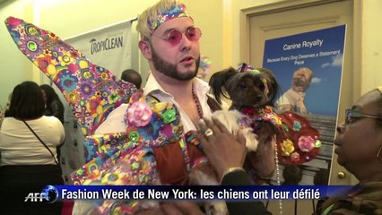 Fashion Week: les animaux de compagnie ont aussi leurs défilés