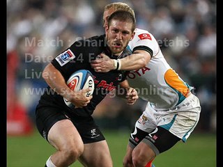 watch Super rugby Sharks vs Cheetahs online