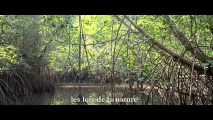 Tout peut changer | Naomi Klein