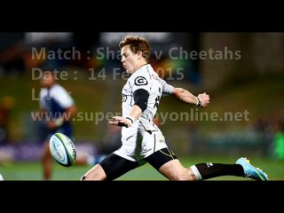 watch Sharks vs Cheetahs live stream online