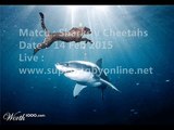 watch Sharks vs Cheetahs live telecast