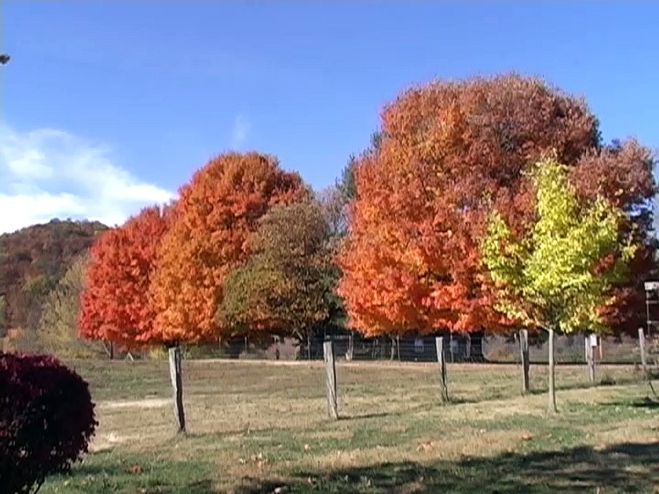 Fall Music and Scenery #2 (HVCJC)