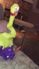 История любви - Love story