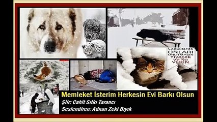 Memleket İsterim-Adnan Zeki Bıyık