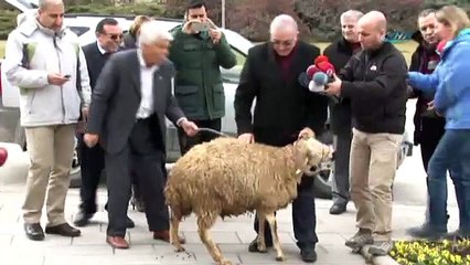 Meclis böylesini ilk kez gördü