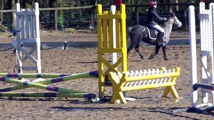 Adonff tartifume, prépa 50cm, inzinzac-lochrist 15/02/15