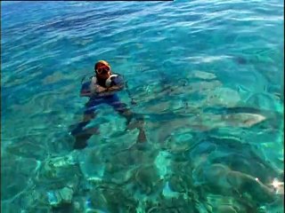Plongée sous-marine en Polynésie française, féerie de bleus