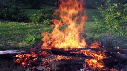 Fancy Night: 16. Zigeunerseele & Zigeunertanz - Tanzstudio Fancy Sommervorstellung 2014