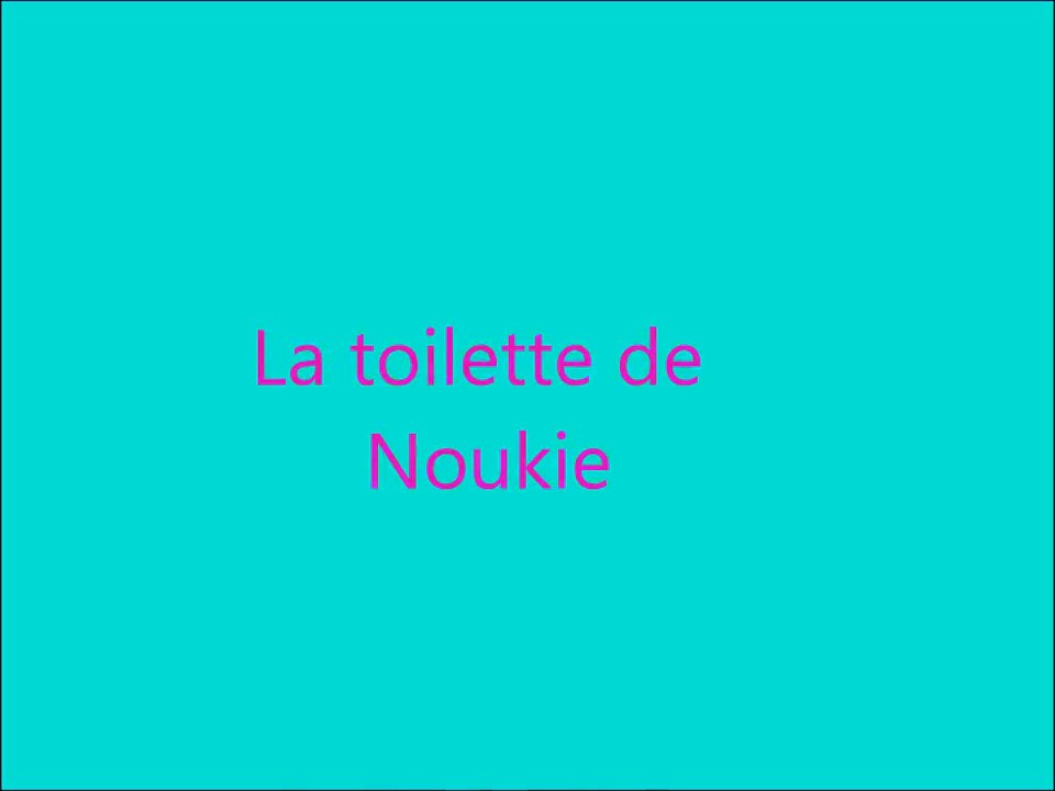 La toilette de Noukie