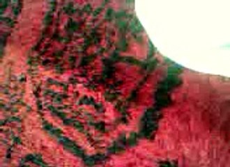 HAFIZ  MUHAMMAD WASEEM   FROM  WAHCANTT   contact    03135489204