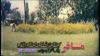 Pashto New Films Shahid Khan Da Shetanano Janj Part 2