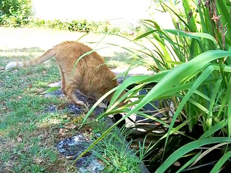 Réalité sans doute