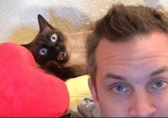 Cat Shows His Love for His Human