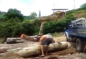 Un homme soulève un arbre