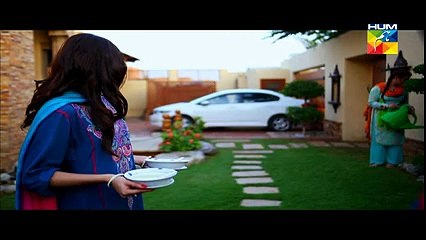 Zindagi Tum Ho Episode 9 Full 13 February 2015 HUM TV Drama