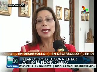 Responsables por plan golpista en Vzla. deben responder: Tania Díaz