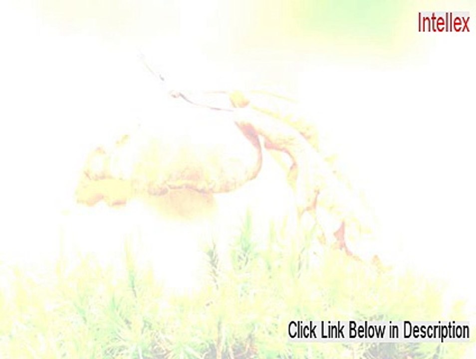 Intellex Full Download [intellex ultra]