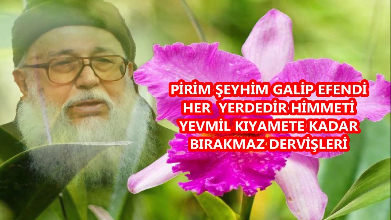 017-PİRİM ŞEYHİM GALİP EFENDİ HER YERDEDİR HİMMETİ