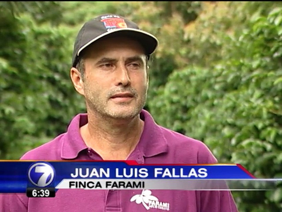 Pareja de Santa María de Dota conquista con su café los paladares japoneses