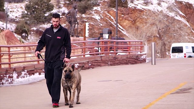 Fight Night Broomfield: Brandon Thatch - Puppy Love