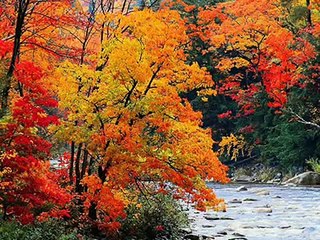 YUSUF TAŞKIN - ağla sevdam,,,,