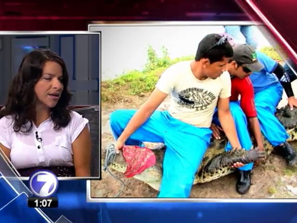 ¿Cómo evitar los ataques de cocodrilo?